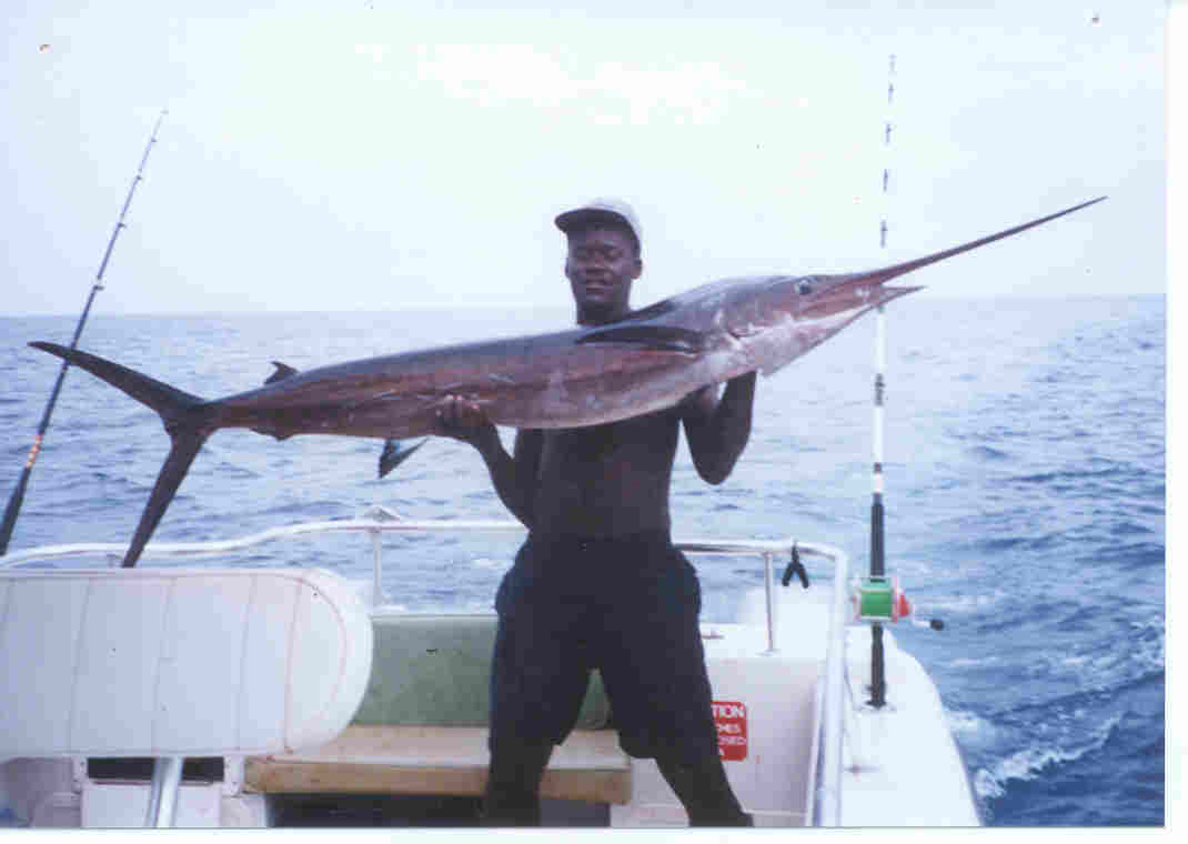 sailfish2.jpg